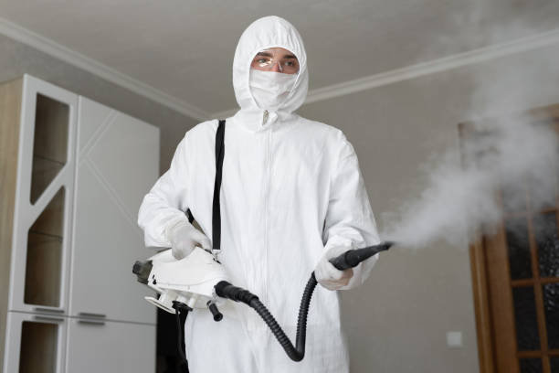 Best Environmental Consulting for Mold Prevention  in USA